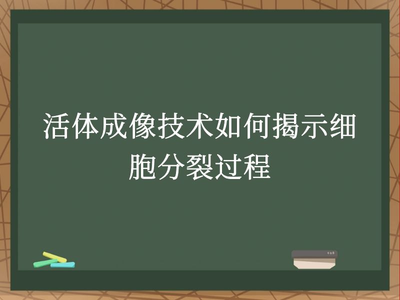 活體成像技術(shù)如何揭示細(xì)胞分裂過程